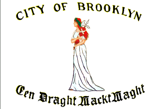 [Former Flag of
                        Brooklyn City c.1860-1898 (New York City)]