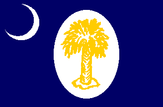 [Flag
                                  of South Carolina 1861]