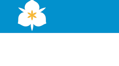 [Flag of Salt Lake
                        City, Utah (U.S.)]