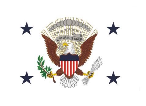 [flag of the Vice President
                      of the United States]